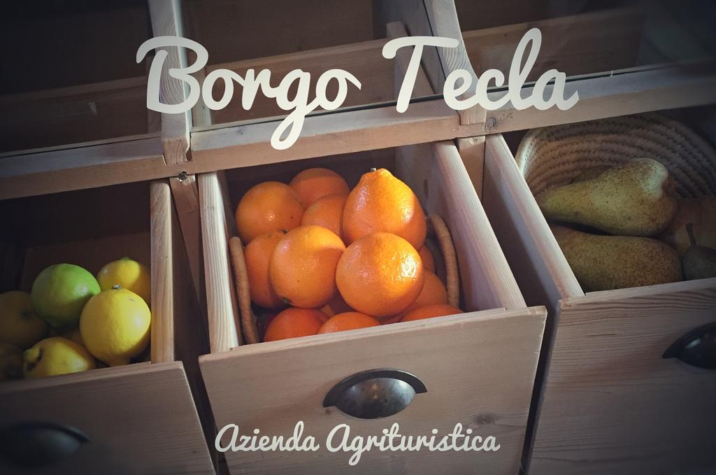 Agriturismo Borgo Tecla Rosa Luaran gambar